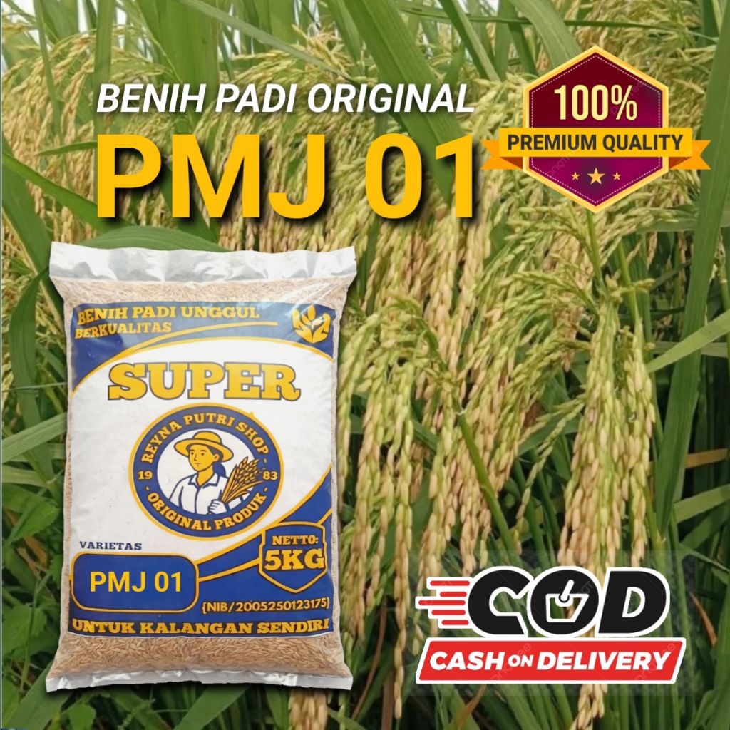 Benih padi pmj 01 original 5kg