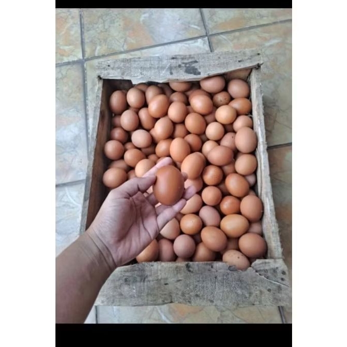 Telur ayam 1kg