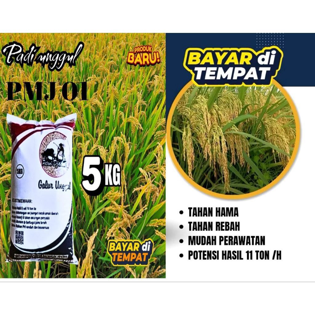Bibit padi benih padi super premium PMJ 01 kemasan 5kg