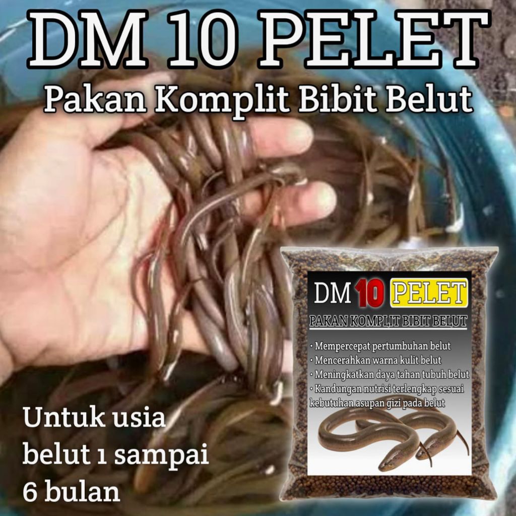 Pakan ternak budidaya belut sawah, rawa, sungai DM 10 pelet apung isi 250 gram