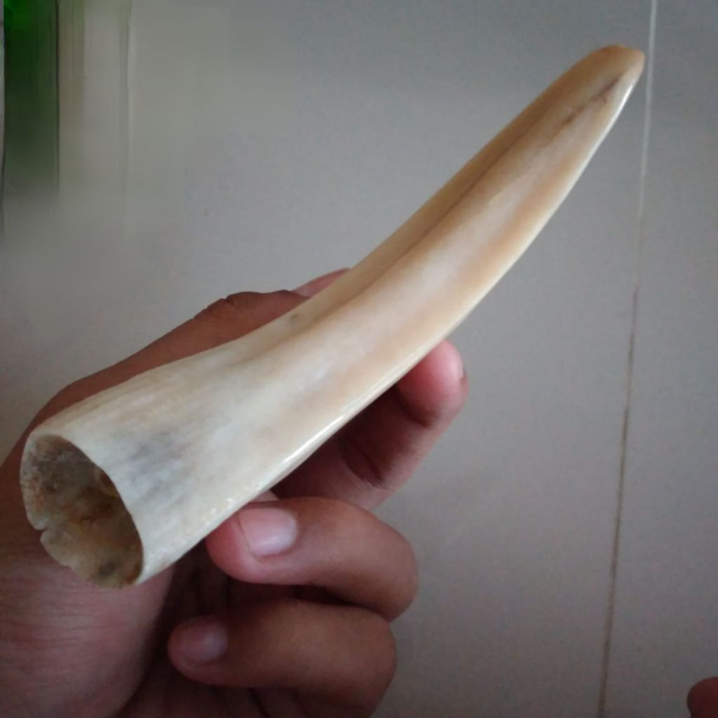 once taring duyung pipa rokok