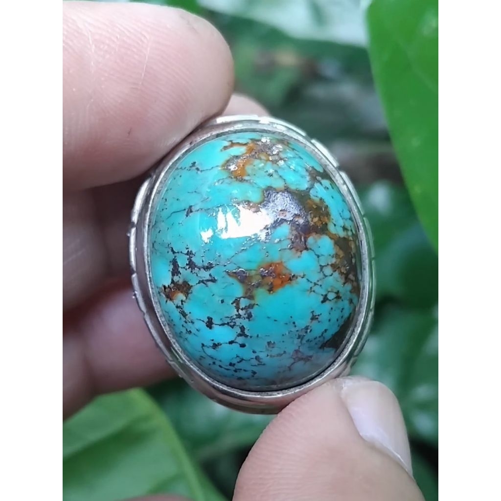NATURAL PIRUS PERSIA LAWASAN