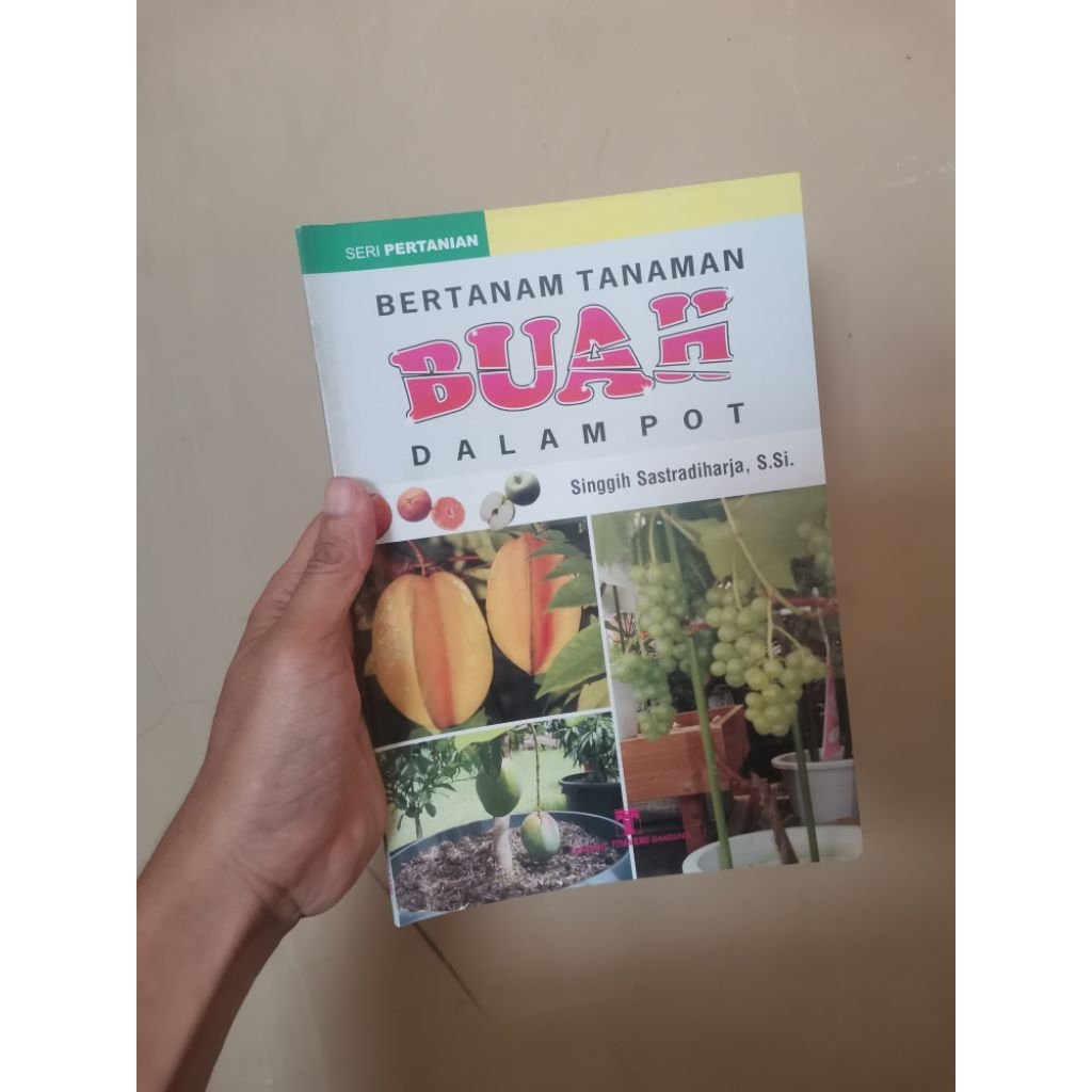 Bertanam tanaman buah dalam pot