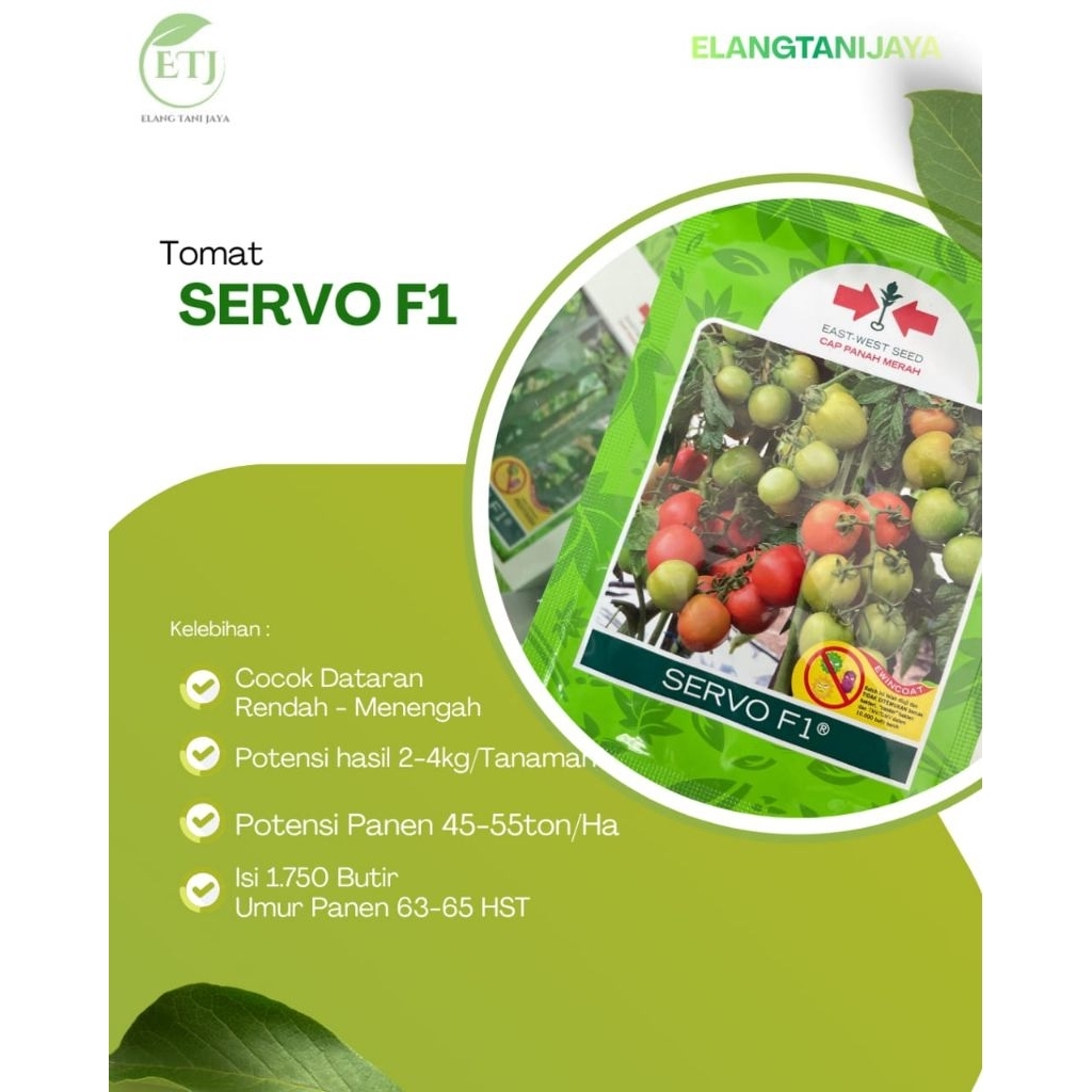 Benih Tomat servo F1 / bibi tomat servo f1