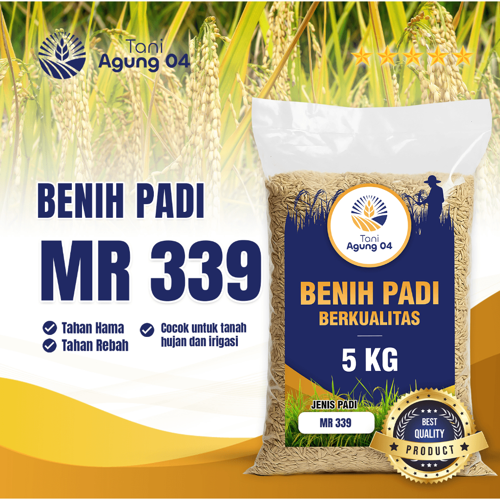 Benih Padi Bibit Padi MR 339 Kualitas Original Kemasan 5 Kilo