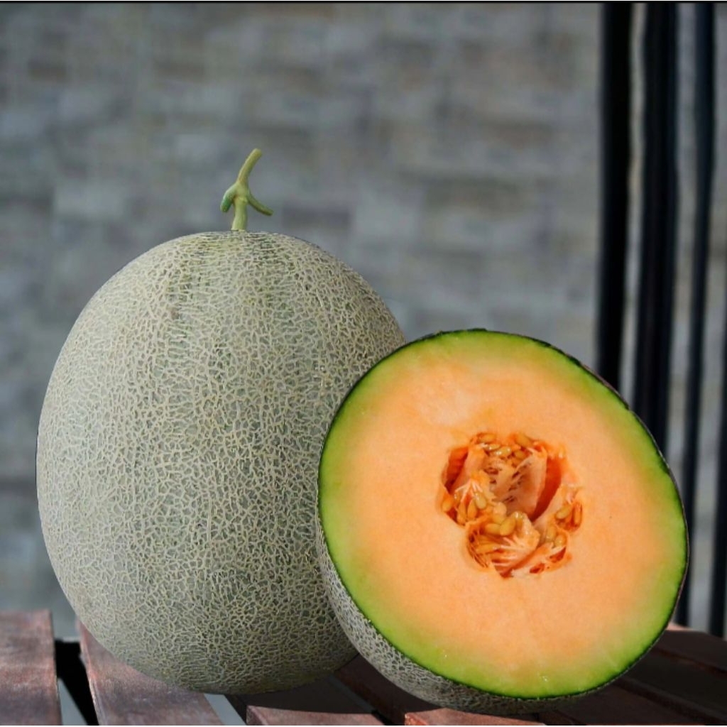 100 butir BIBIT MELON MADU SUPER MANIS
