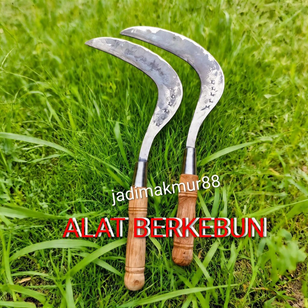alat pertanian arit rumput super tajam - arit rumput arit padi - aritan rumput aritan padi