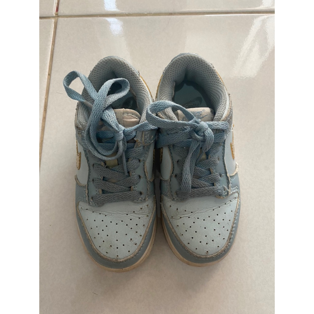 Nike Dunk Low Kids Preloved