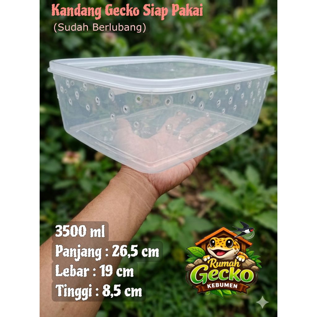 Wadah 26,5 x 19 x 8,5 cm