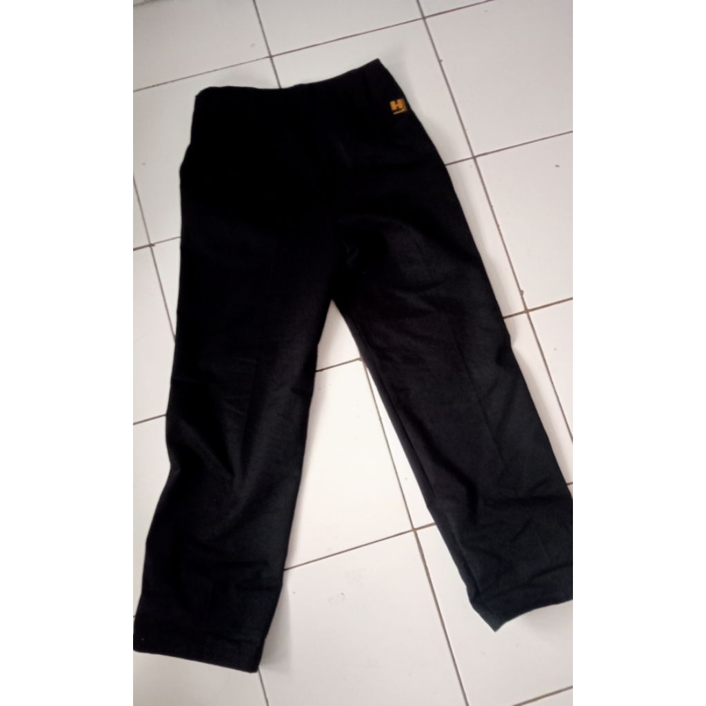 workpant hammerstout