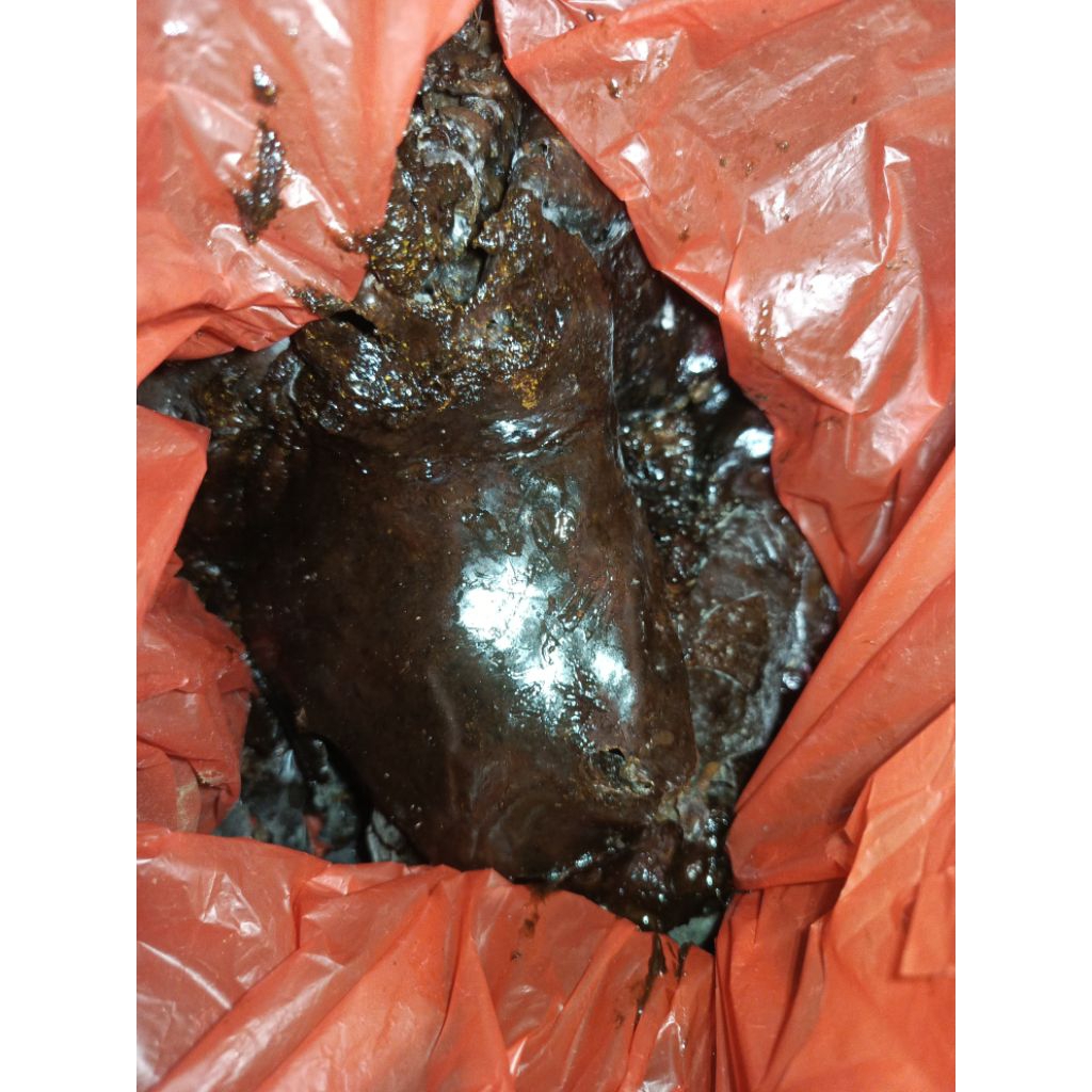 propolis mentah itama 100 gram