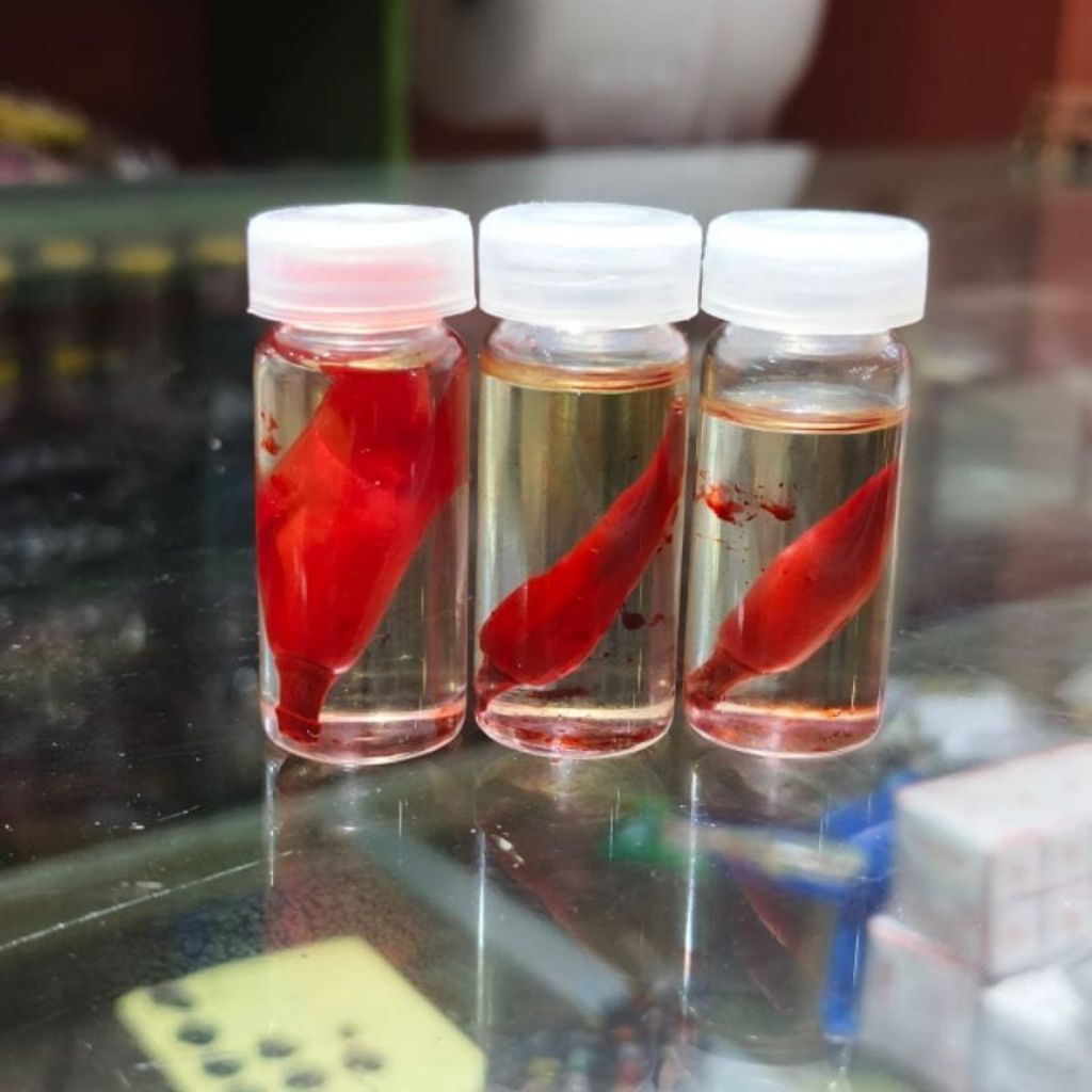 Minyak Wangi Bunga Merah