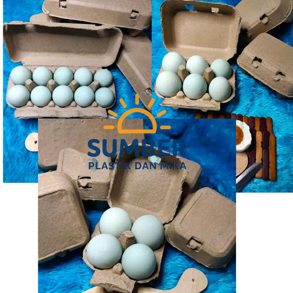 [ 10PCS ] Paper Egg Tray / Tray Telur Kertas 4 / 6 / 10 lubang sudah ada pengunci Box Telur Paper / 