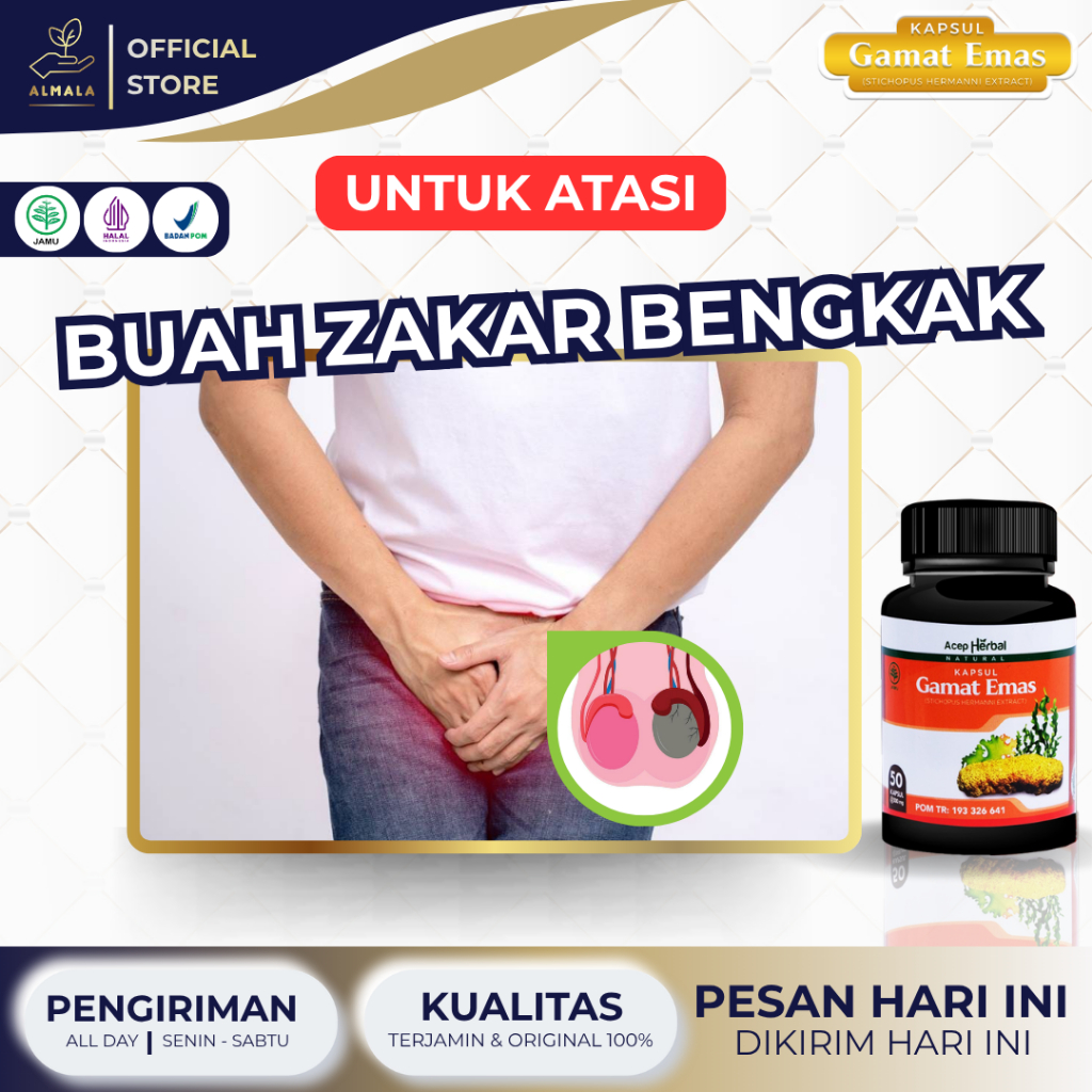 Obat Buah Zakar Bengkak Sebelah Kiri Kanan Hidrokel Varikokel Varises Testis Nyeri Buah Zakar Turun 