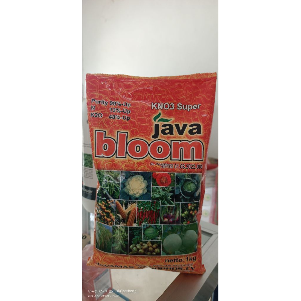 KNO3 Super JAVA BLOOM