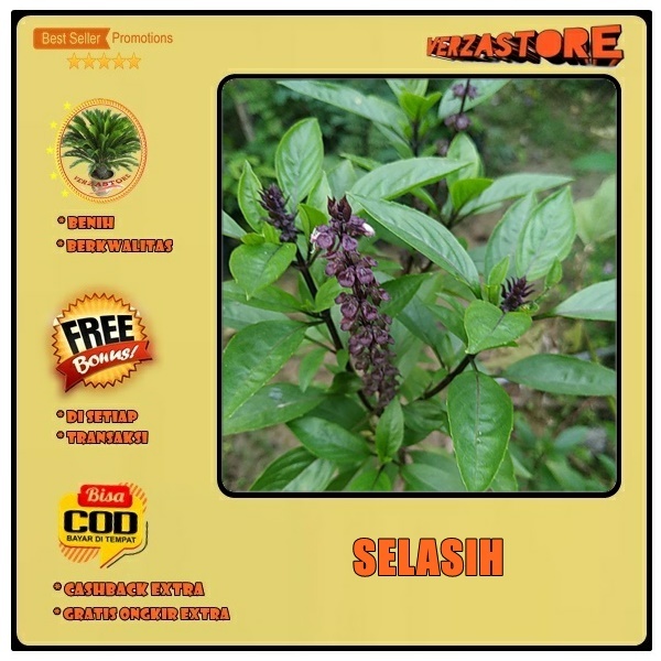 Biji Benih Selasih Bibit Tanaman Sayur Sayuran Herbal /50 Biji