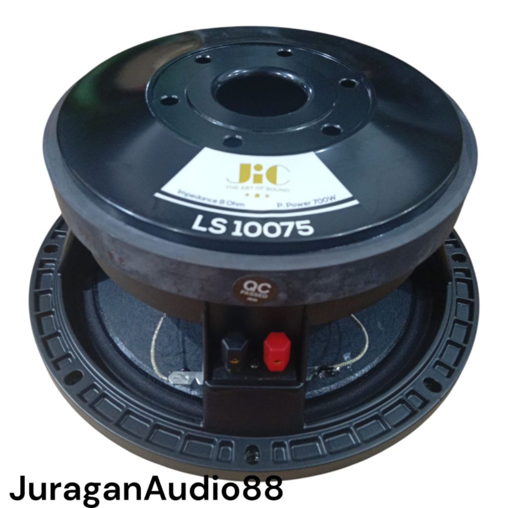 SPEAKER JIC 10 INCH LS 10075