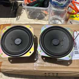 Speaker Compo Polytron Grand Bazzoke / H10010W3DR