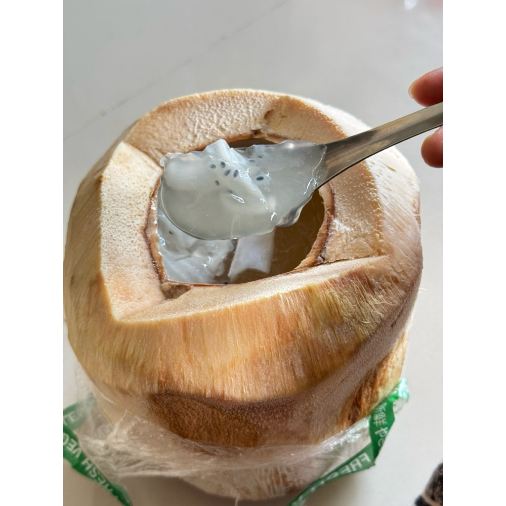 KELAPA JELLY COCONUT JELLY DEGAN JELLY