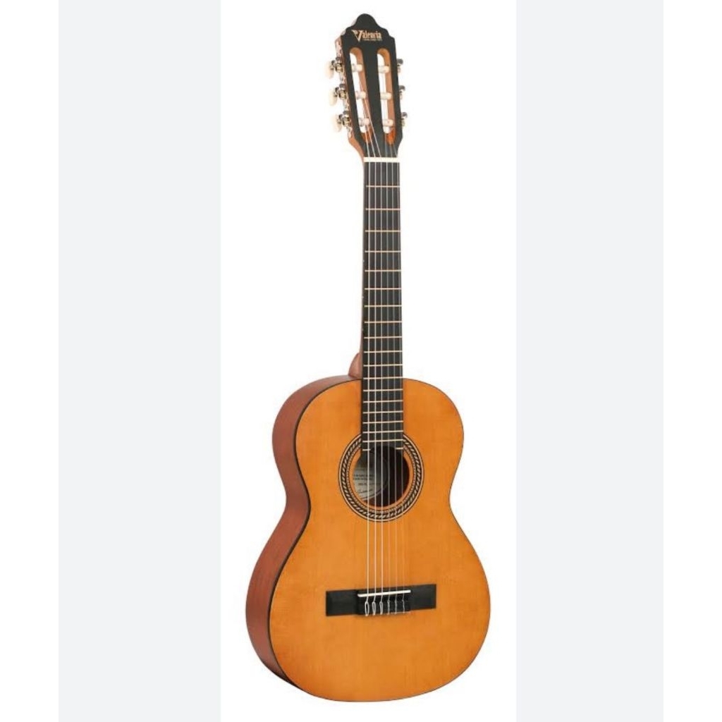 Gitar Valencia VC-202