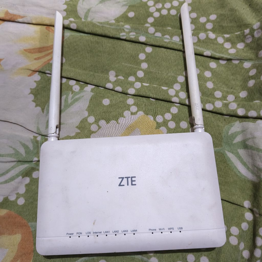 ZTE F670L PORT BIRU