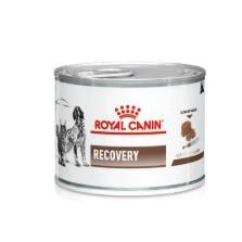 Royal Canin Recorvery wet food