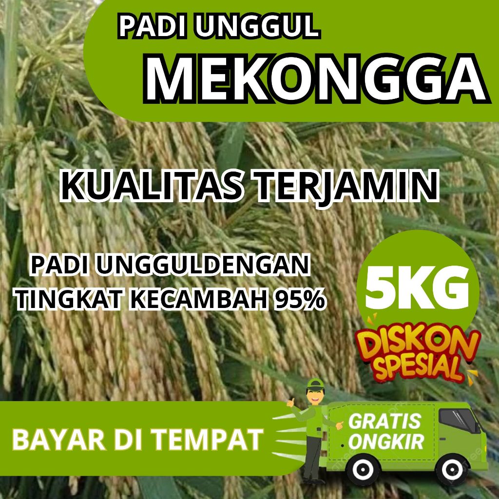 Benih Padi Varietas Mekongga Super Jumbo Premium 5 Kg