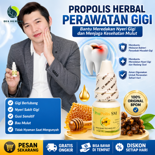 Propolis SM - Obat Gigi Berlubang Agar Copot, Perawatan Alami Gigi Berlubang Untuk Meringankan Gejal