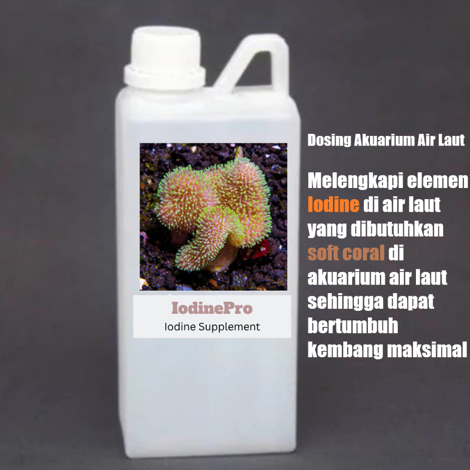 Dosing IodinePro untuk menambah kadar Iodine di Reef Tank Akuarium Air Laut Perawatan Coral Reef Tan