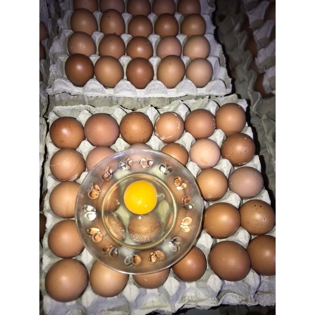 Telur Ayam Negri