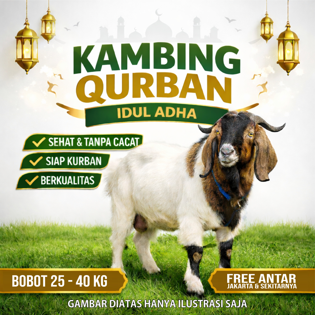 Kambing, Domba, Kambing Hidup, Domba Hidup, Kambing Kurban, Domba Kurban, Kambing Domba Kurban, Domb