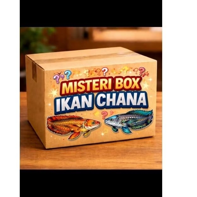 misteri box isi ikan chana