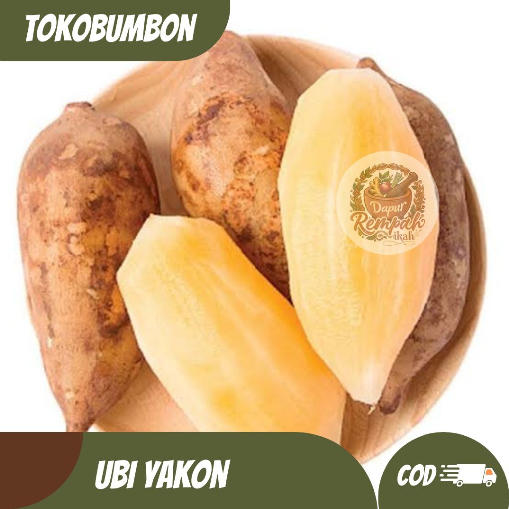 UBI YAKON / UBI YAKON SEGAR / UBI SEGAR / UBI WONOSOBO