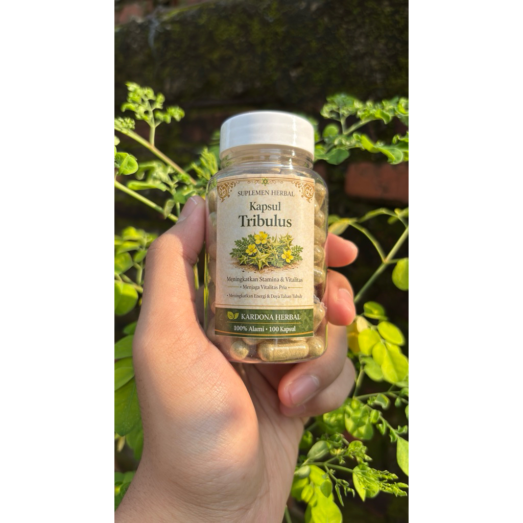 Kapsul Tribulus 100 Kapsul Kardona Herbal Asli Suplemen Herbal Alami untuk Stamina Vitalitas dan Keb