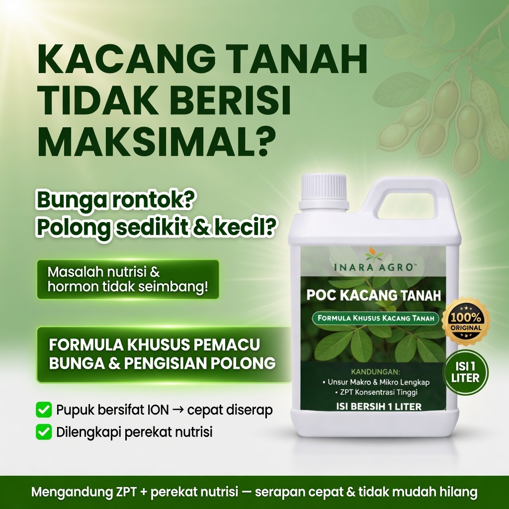 Pupuk Organik Kacang Tanah Cair POC Pemacu Polong Berisi & Hasil Lebat Anti Kosong 1L