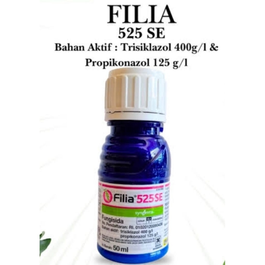 FILIA 50ML
