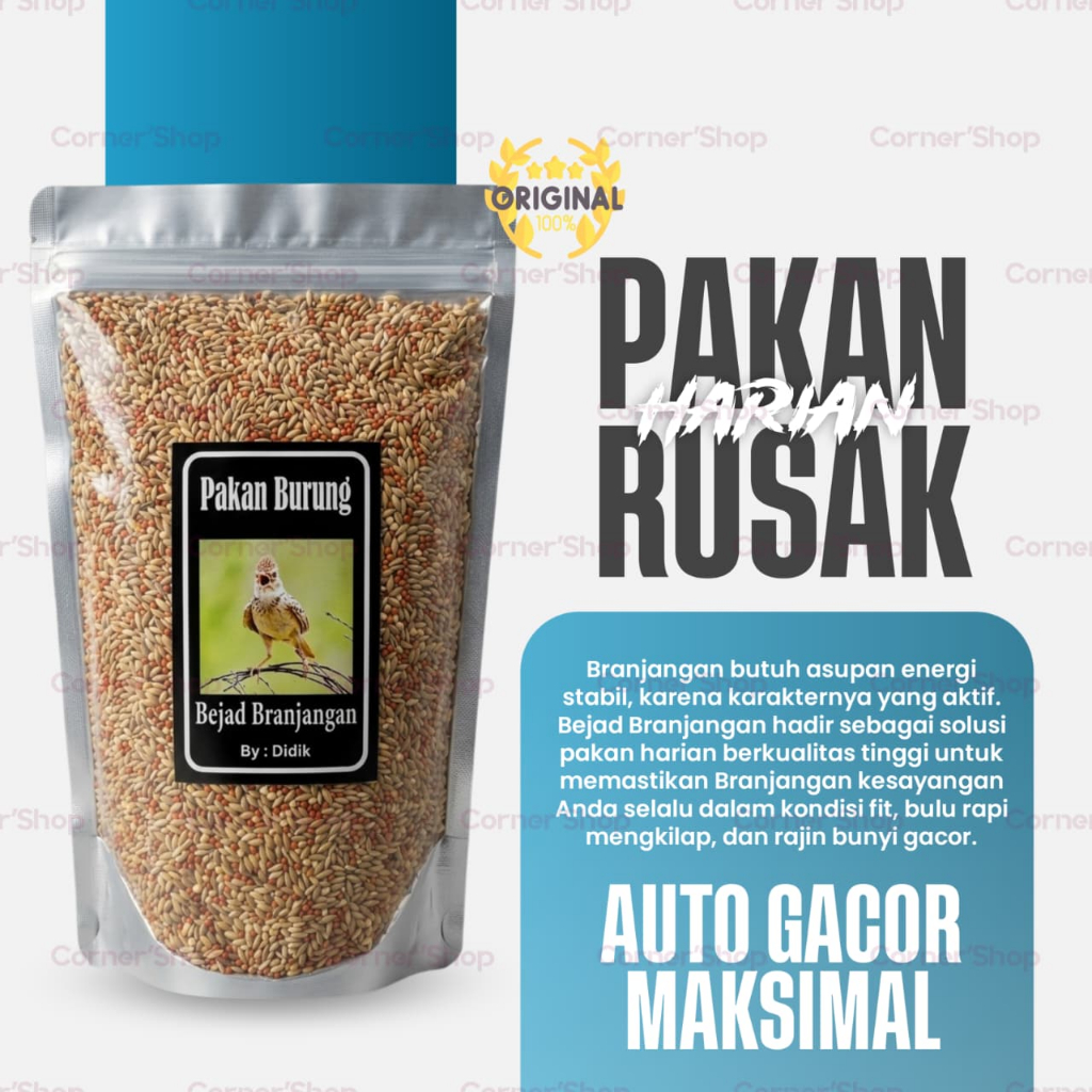 BEJAD BRANJANGAN BY DIDIK - PAKAN BRANJANGAN GACOR