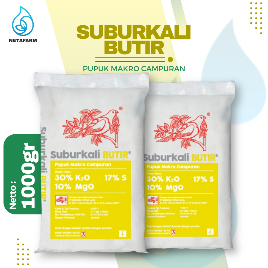 MEROKE SUBURKALI BUTIR Kemasan 1 kg ( CURAH)