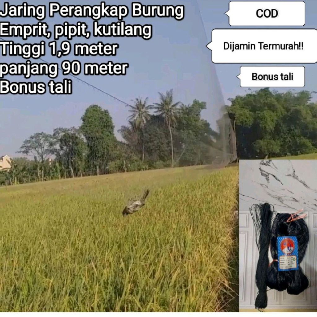 CUCI GUDANG BONUS TALI 100 METER JARING BURUNG HITAM 1,9x90 METER JARING PIKAT BURUNG EMPRIT PIPIT K