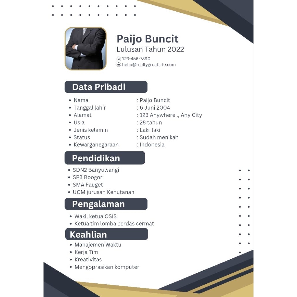 template cv  profesional ATS Frendly gratis edit & revisi