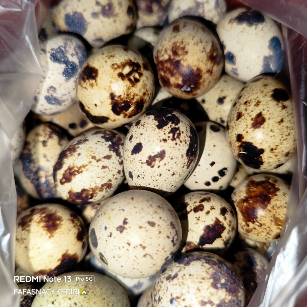 Telur Puyuh Mentah 1kg