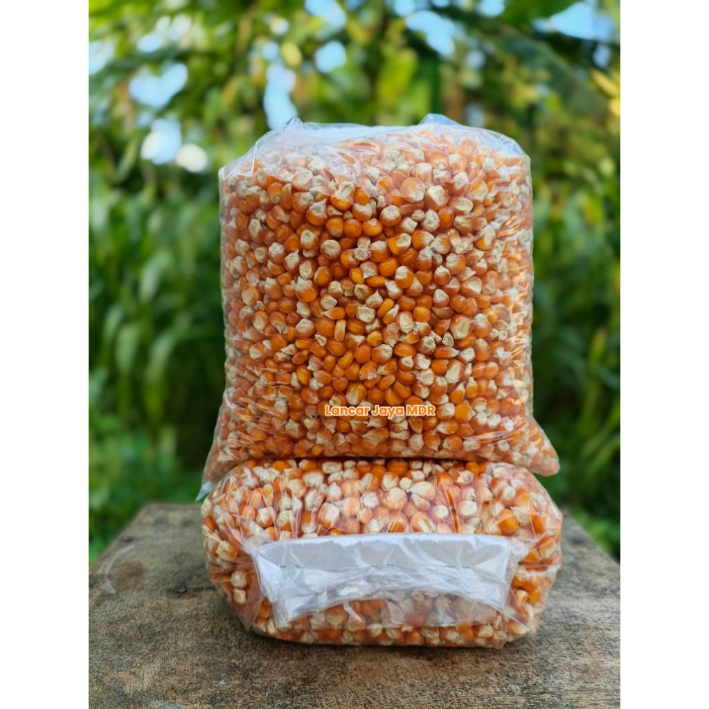 Jagung Kecil Super 1KG || Jagung Kristal || Jagung Maduran|| Pakan Merpati Dan Unggas Lainnya