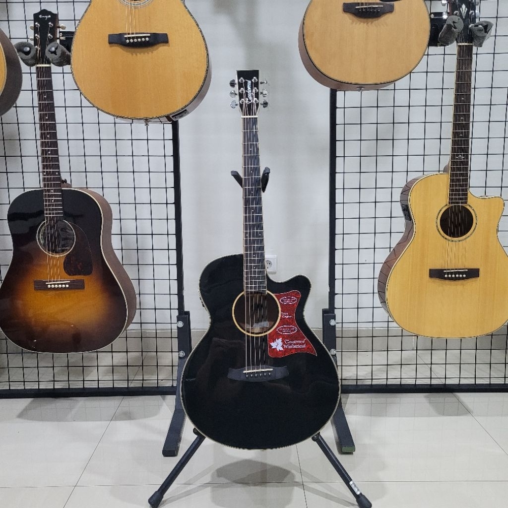 Gitar Akustik Elektrik TANGLEWOOD TW4E BS / TW 4 E BS