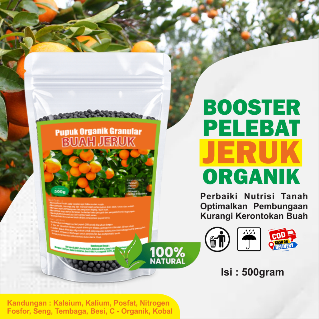 Pupuk Booster Jeruk Pelebat Organik Cepat Berbuah Lebat cocok untuk bibit jeruk santang, jeruk manis