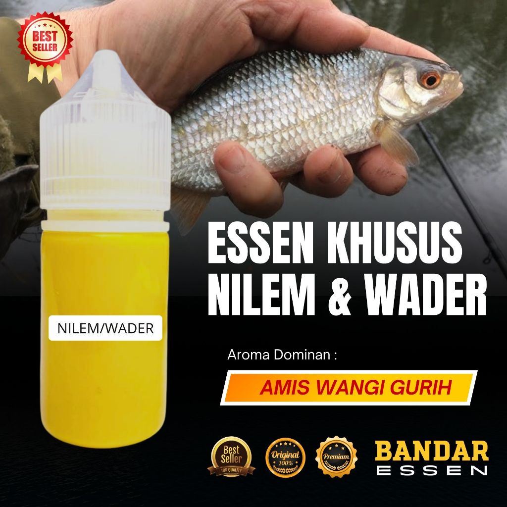 Essen Oplosan Spesial Ikan Nilem Dan Wader Paling Ampuh