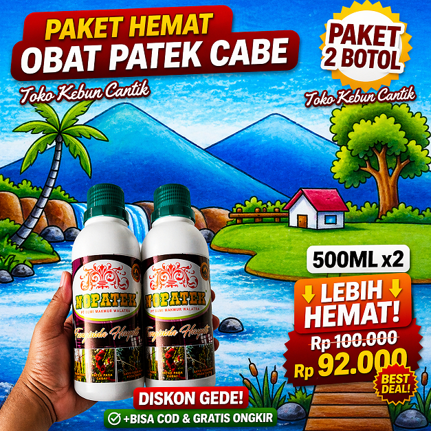 Paket Obat Patek Cabe NOPATEK 500ml x2 Obat Antraknosa Cabe Obat Busuk Buah Cabai Obat Jamur Cabe Fu