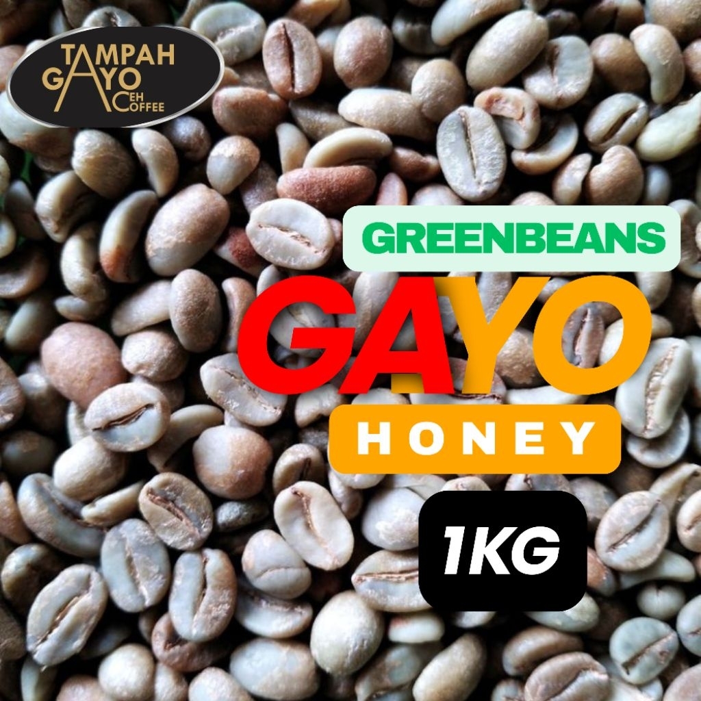 Biji Kopi Mentah Arabika Gayo Honey Process 1kg - Green Bean Coffee Arabica Aceh Gayo Single Origin 
