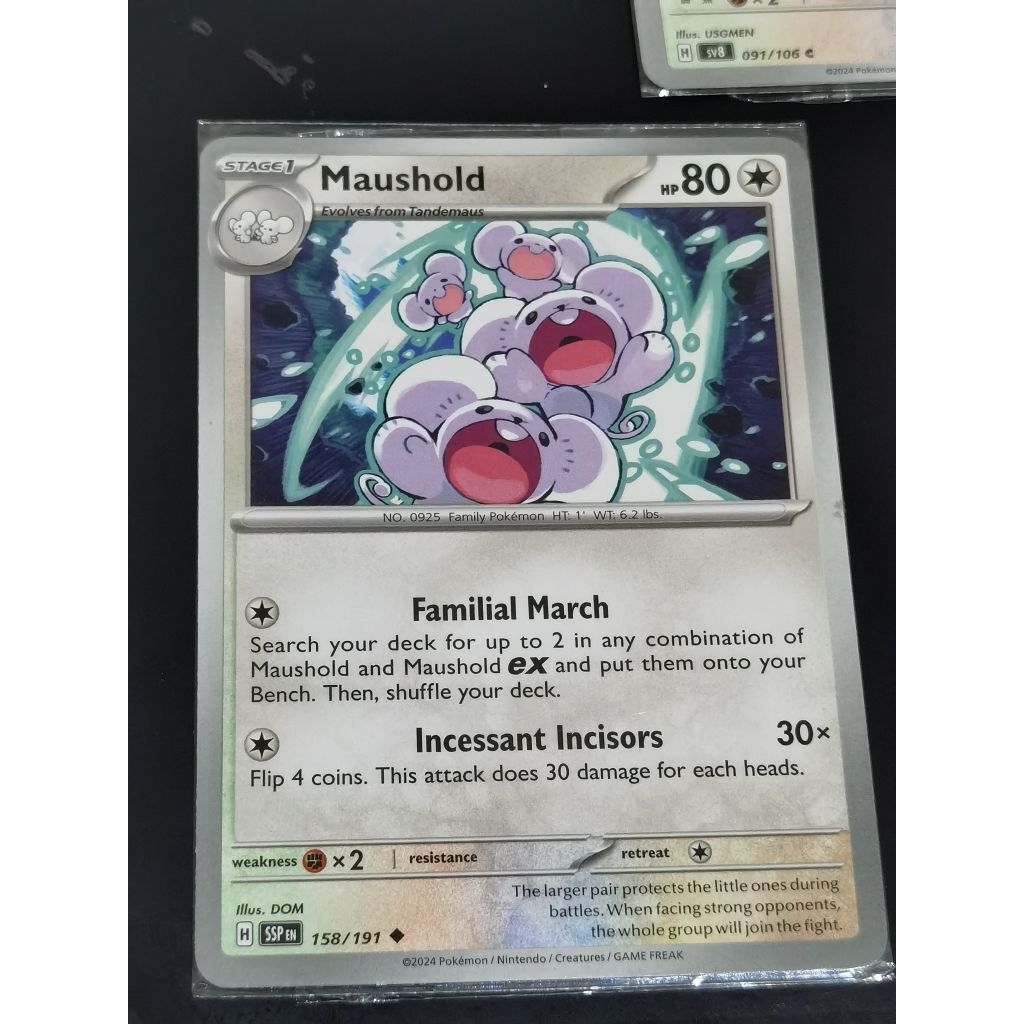 Maushold SSP EN 158/191 ENG