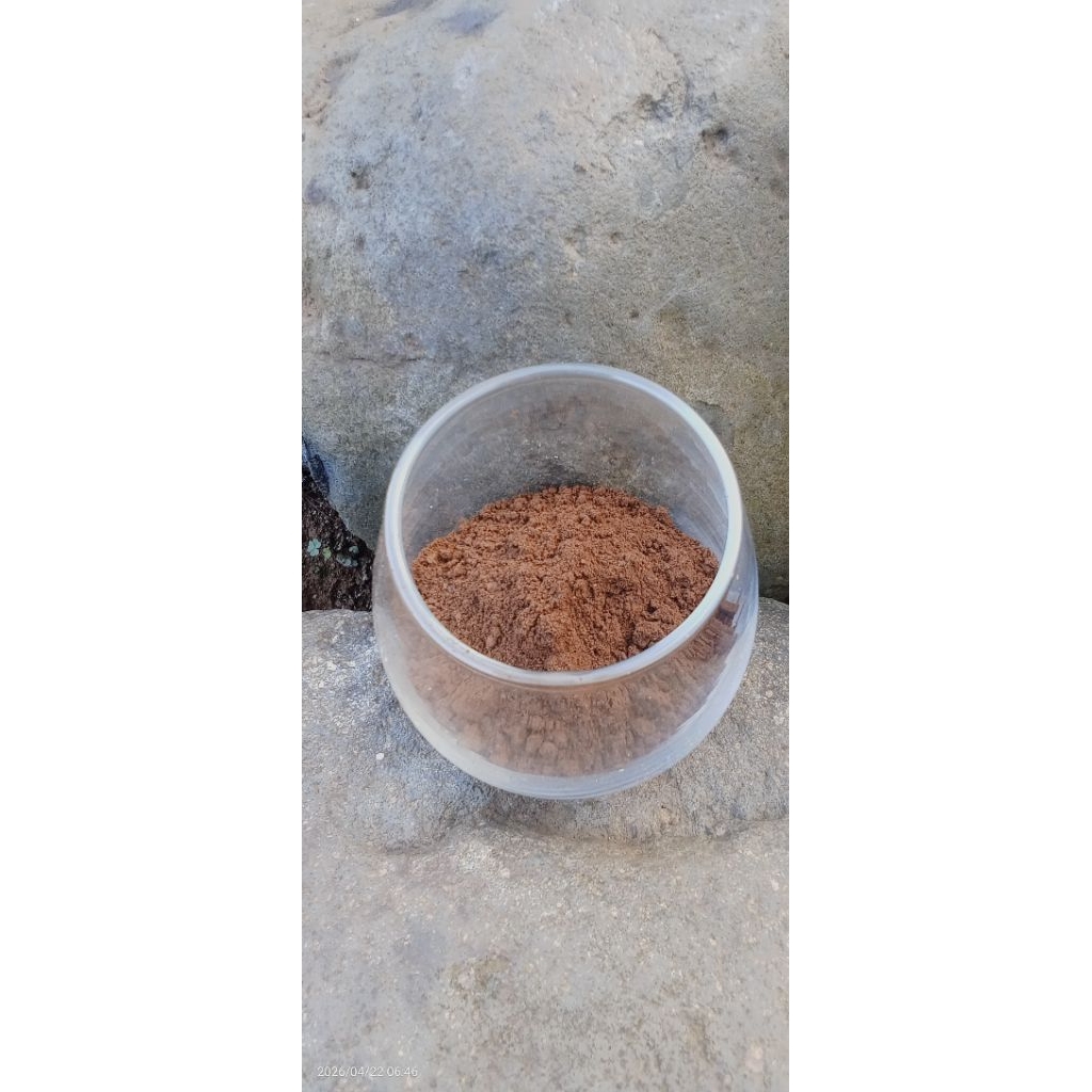 Kopi Asli Bengkulu