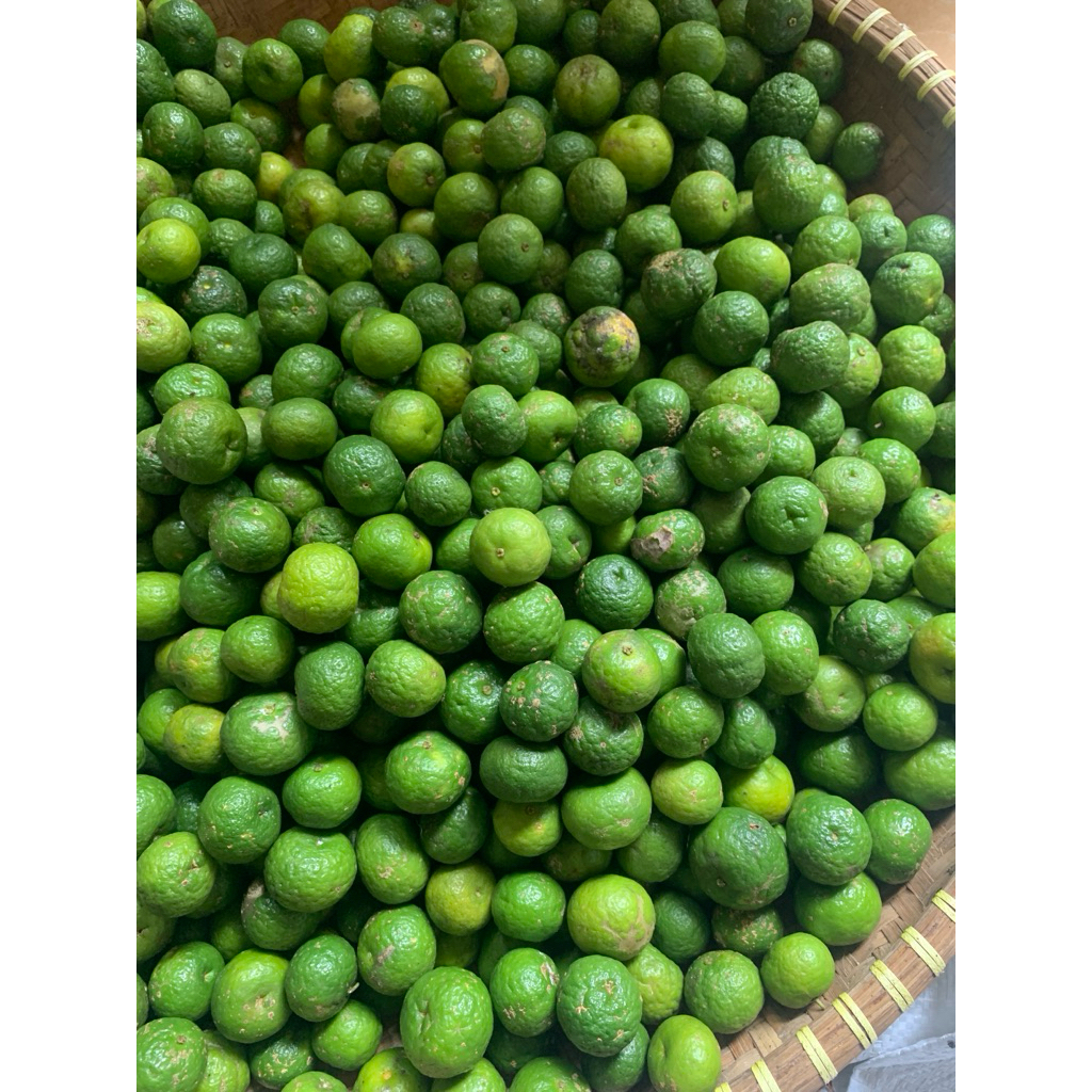 Jeruk purut segar 1kg
